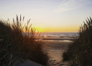 De Haan Sonnenaufgang am Meer