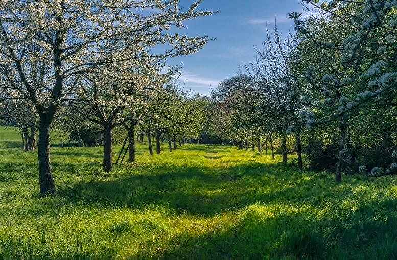 wanderung premiumwanderweg Steinbachpfad