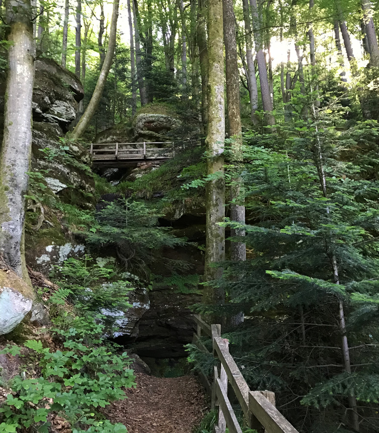 Premiumwanderweg im Pfälzerwald Teufelspfad