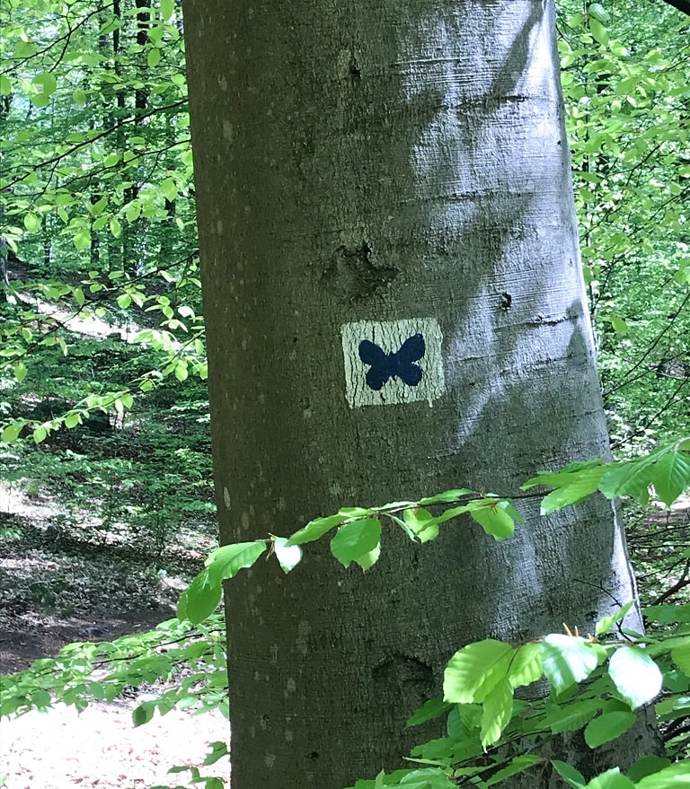 Schmetterlingspfad in Kirkel Wandern im Saarland