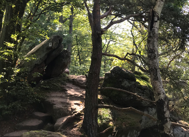 Wanderweg Westfels zu Südfels Drachenfelswanderung im Pfälzerwald